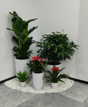 海曙花卉店位置-余姚绿植租摆价格-慈溪绿化养护景观设计-北仑绿植租赁方案案例